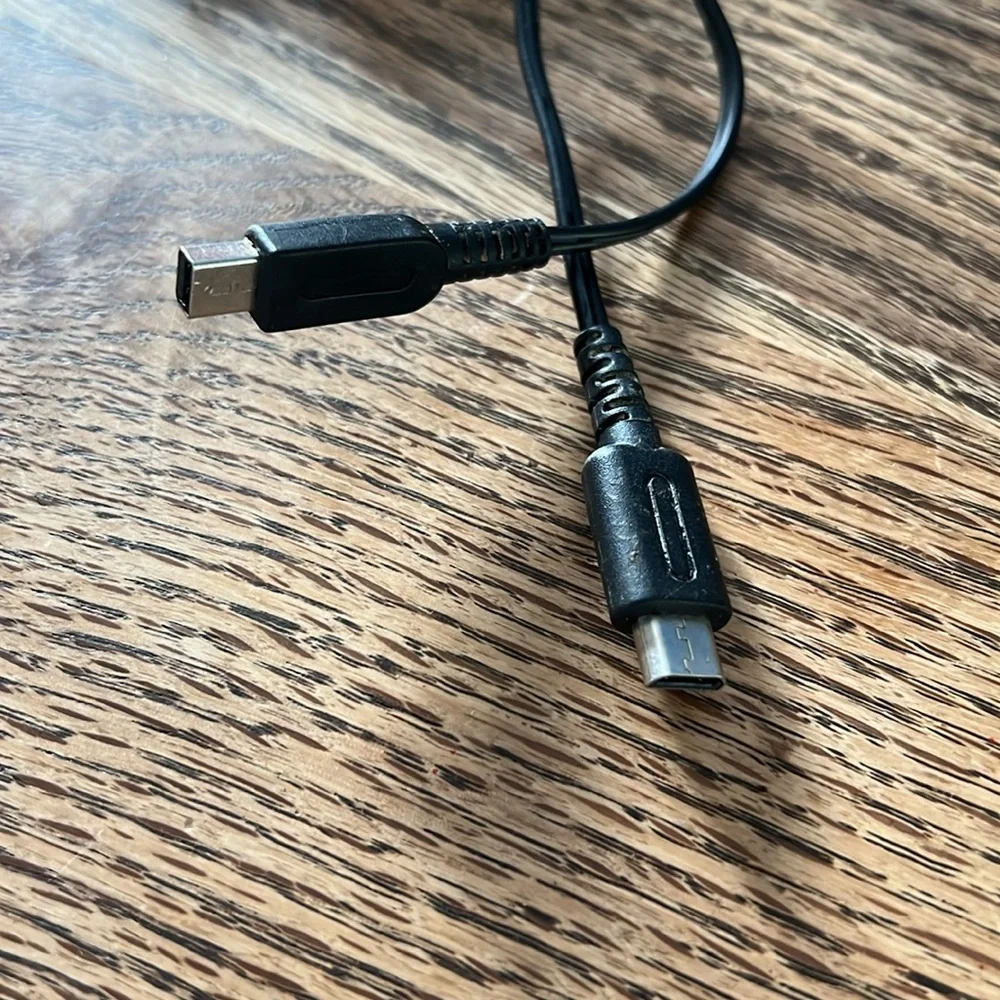Nintendo DS Series Charger